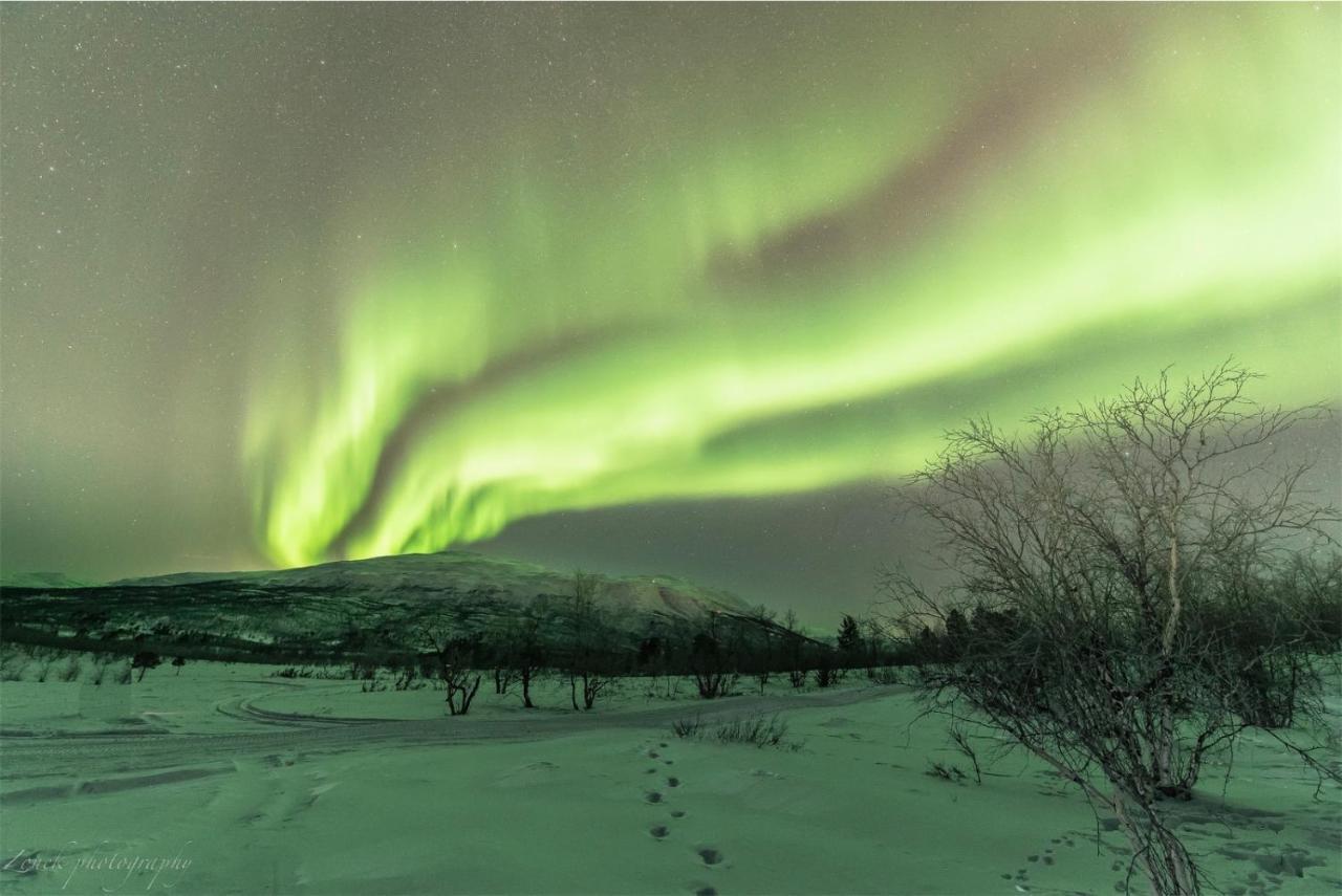 Abisko Guesthouse & Activities Bagian luar foto